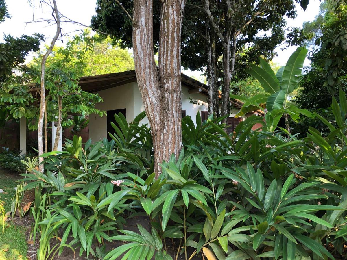 Casa Aracua Trancoso Villa Buitenkant foto